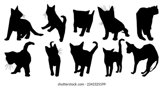 Silhouette of standing, running, walking cats in different positions, hand drawn pack of pet shapes and figures, isolated vector