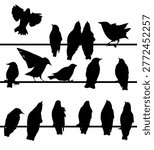 Silhouette of starlings on wires. Hand drawn. Not AI, vector illustration