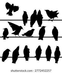 Silhouette of starlings on wires. Hand drawn. Not AI, vector illustration