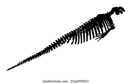 17 Steller's Sea Cow Images, Stock Photos & Vectors | Shutterstock