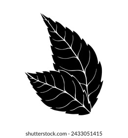 Silhouette, stencil of mint leaves. Decorative botanical elements. Vector graphics.