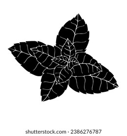 Silhouette, esténcil de hojas de menta. Gráficos vectoriales.