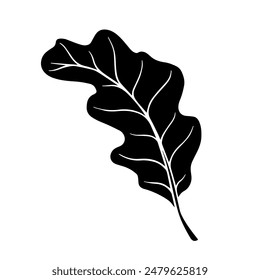 Silhouette, stencil of oak leaves.Vector graphics.