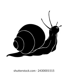 Silhouette, stencil of a snail. Vector graphics.