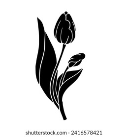 Silhouette, esténcil de la flor de tulipano de primavera.Gráficos vectores.