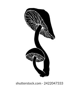 Silhouette, stencil of toadstool mushrooms.Vector graphics.