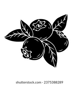 Silhouette, stencil of wild blueberry.Vector graphics.