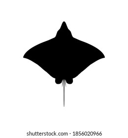 Silhouette stingray on white background