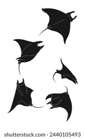 silhouette stingray vector illustration. black isolated white background