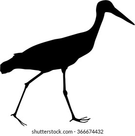 Silhouette of a stork