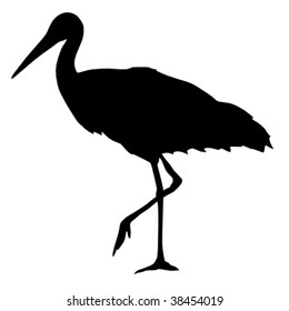 Silhouette Of Stork