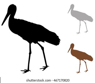 silhouette of stork