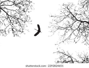 silhouette of stork among trees in nature