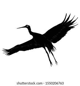 Silhouette of a stork bird, black and white on a white background