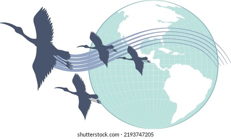 Silhouette stork birds flying with earth planet illustration