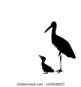 Silhouette of stork with chick. Vector illustrator
