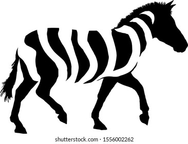 Silhouette of a striped zebra. Vector illustration. 