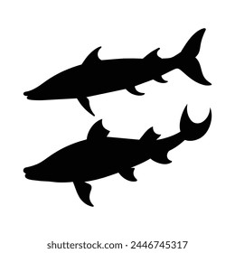 silhouette of sturgeon fish on white