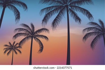 Silhouette sunset Palm trees background