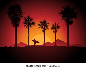 Silhouette de un surfista y palmeras al atardecer