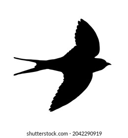 1,062 Silhouette swift swallow Images, Stock Photos & Vectors ...