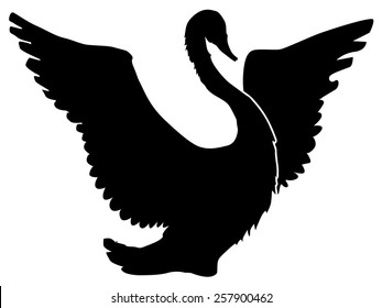silhouette of swan