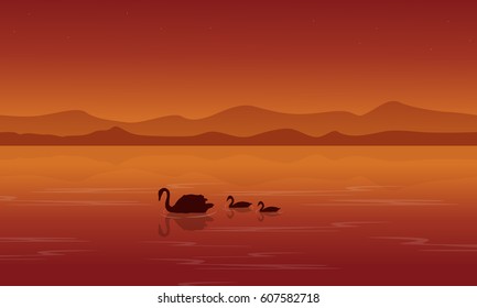 Silhouette of swan on lake at sunset
