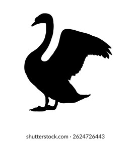Silhueta de um cisne - ilustração vetorial	