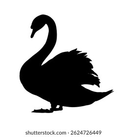 Silhueta de um cisne - ilustração vetorial	