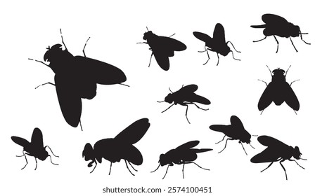 Silhouette Swarm, A Collection of Fly Silhouettes, Representing a Diversity of Poses and Perspectives of these Common Insects Against a Clean White Backdrop,