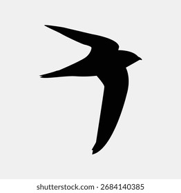 Silhueta de um veloz em voo, , vista lateral