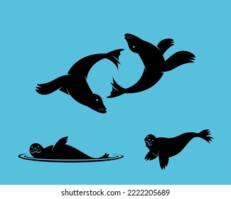 silhouette of swim seal in the water