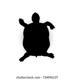 Silhouette of swimming turtle.