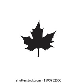 Silhouette of sycamore leaf, vector illustration