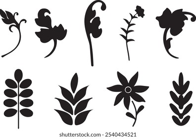 Silhouette Symble Of Herbs Leafs