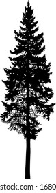 Silhouette of tall pine tree. Hand made.