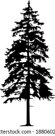 Silhouette Of Tall Skinny Pine Tree. Hand Made.