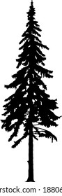 Silhouette of tall skinny pine tree. Hand made.