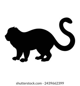 silhouette of a tamarin on white