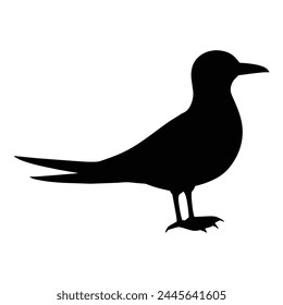 Silhouette eines Seeschwalbenvogels 