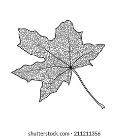 Silhouette of the textured maple leaf, vector illustration.