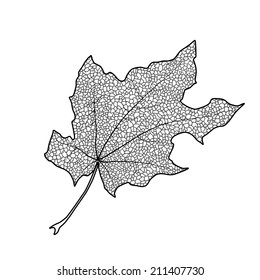Silhouette of the textured maple leaf, vector illustration.