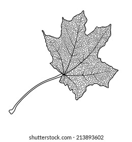 Silhouette of the textured maple leaf, vector illustration.