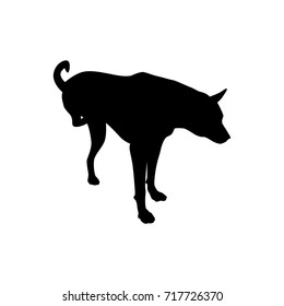 Silhouette thai dog on white background