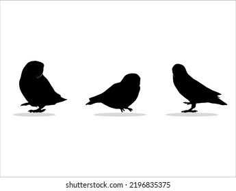 Silhouette of Three Bird Animal Illustrations