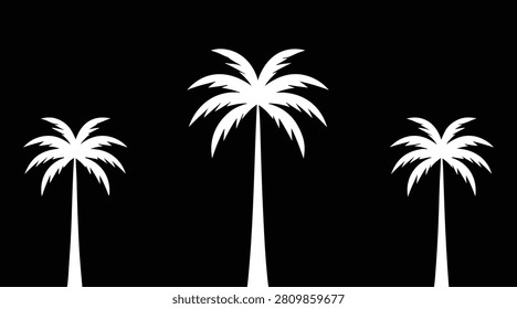 Silhouette of Three Palm Trees Against Black Night Sky with Dramatic Lighting