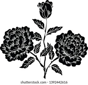 silhouette of three rose buds