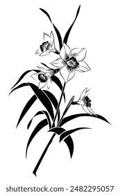 Silhouette of three upward-growing daffodils with long stems and leaves, in black and white