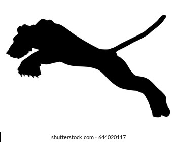 silhouette of tiger