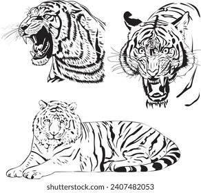 Silhouette of Tiger with any angle. Suitable for logo, sticker merchandise, etc. Freehand sketch illustration set Tiger doodle stock images. Tiger vector icon. Screaming Tiger isolated background.